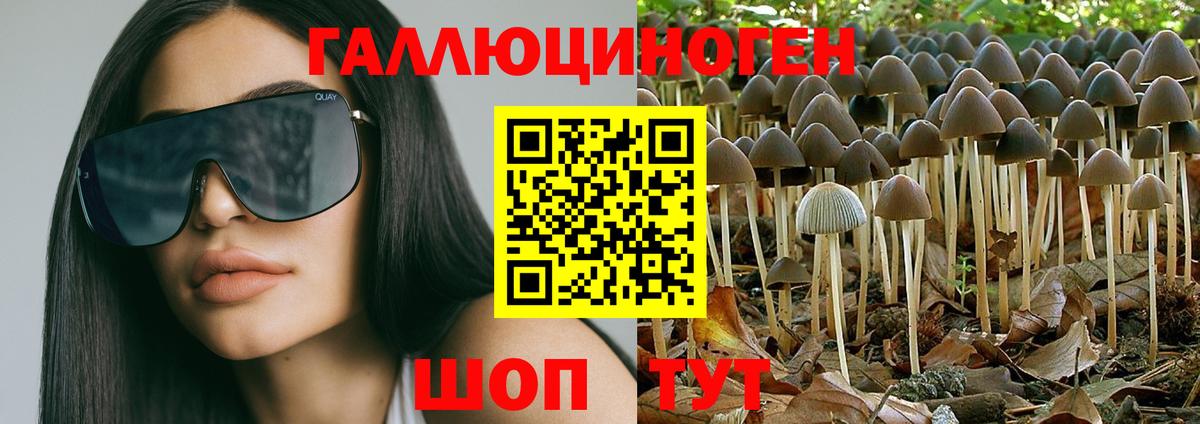 Галлюциногенные грибы Cubensis  Вход с VPN  Ступино 